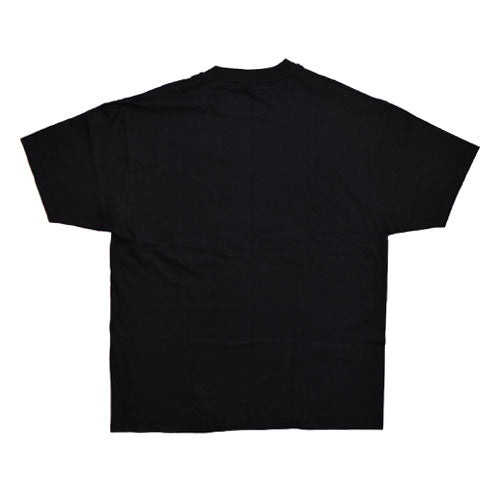 PUFF DADDY THE PALYPEN