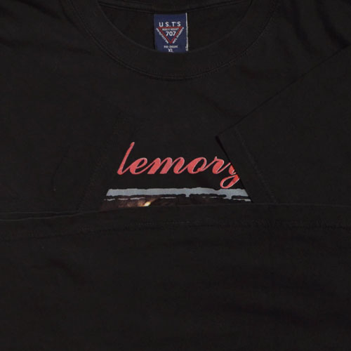 AALIYAH In Memory Of Aaliyah / TRY AGAIN