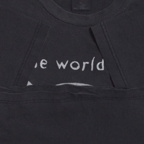 The Smashing Pumpkins the world is a vampire