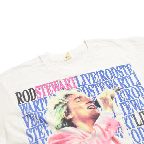 ROD STEWART LOST IN AMERICA