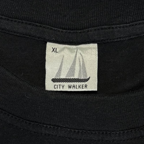 NIRVANA KURT COBAIN GUITAR / NIRVENA MEMBER