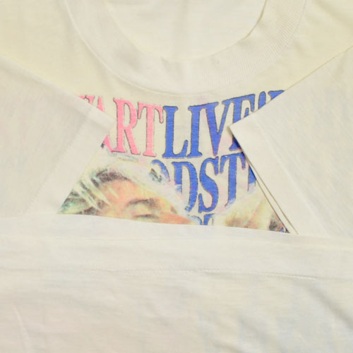 ROD STEWART LOST IN AMERICA