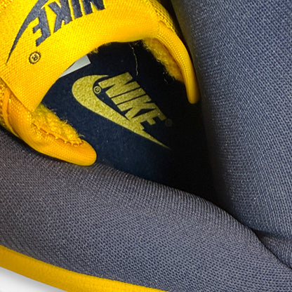 NIKE DUNK HI SP (CZ8149 700) "MICHIGAN"