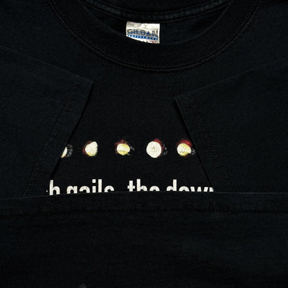 Nine Inch Nails the downward spiral