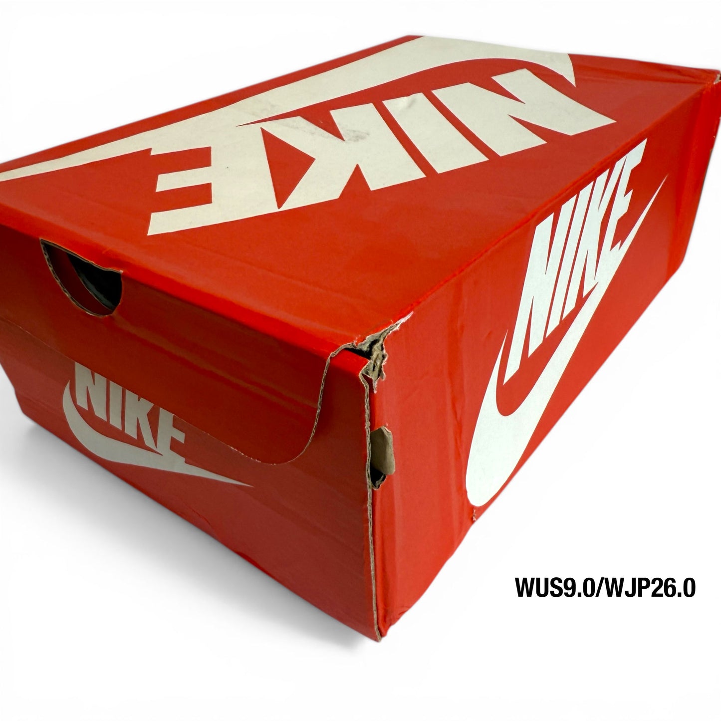W NIKE DUNK LOW (DD1503 100) "COAST"
